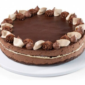 Cake-to-Israel-Velvet-Vegan-Nocturnalto-Cake